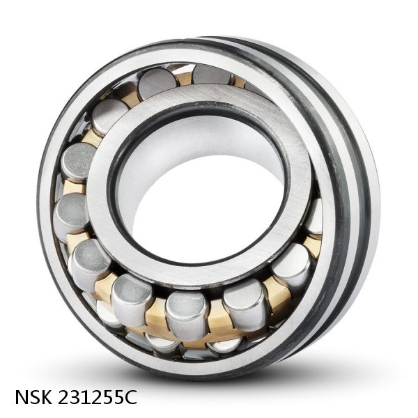 231255C NSK Railway Rolling Spherical Roller Bearings #1 small image