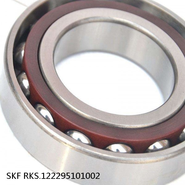 RKS.122295101002 SKF Slewing Ring Bearings #1 small image