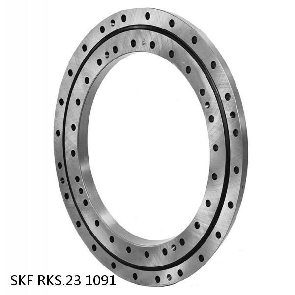 RKS.23 1091 SKF Slewing Ring Bearings