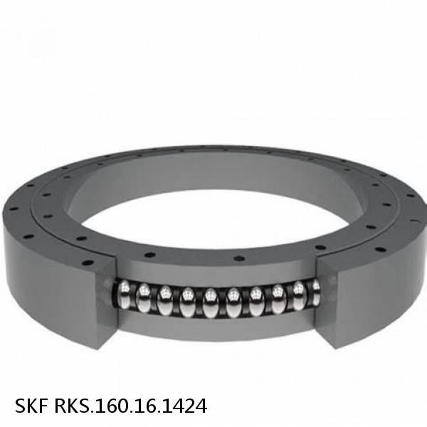 RKS.160.16.1424 SKF Slewing Ring Bearings #1 small image