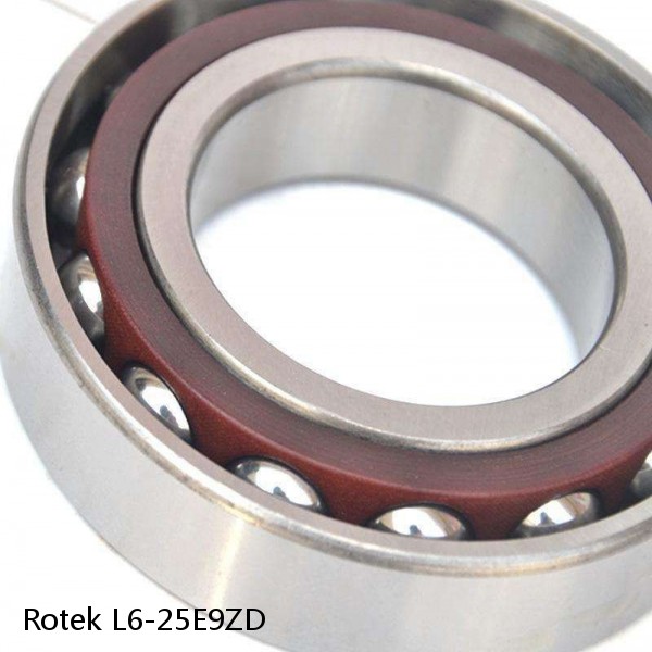 L6-25E9ZD Rotek Slewing Ring Bearings #1 small image