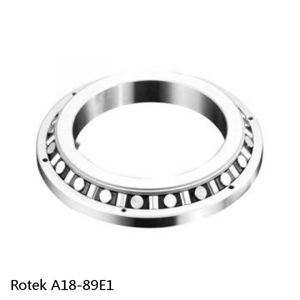 A18-89E1 Rotek Slewing Ring Bearings