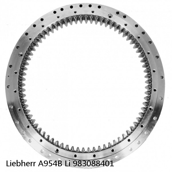 983088401 Liebherr A954B Li Slewing Ring #1 small image
