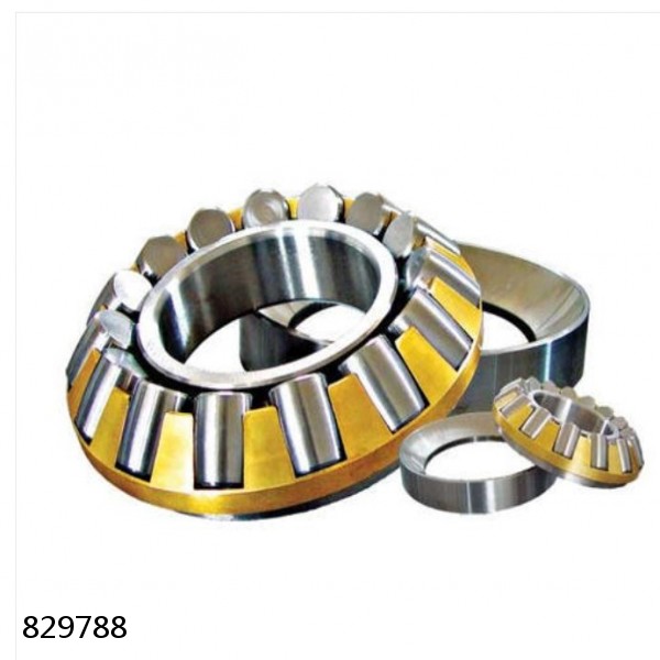 829788 DOUBLE ROW TAPERED THRUST ROLLER BEARINGS #1 small image