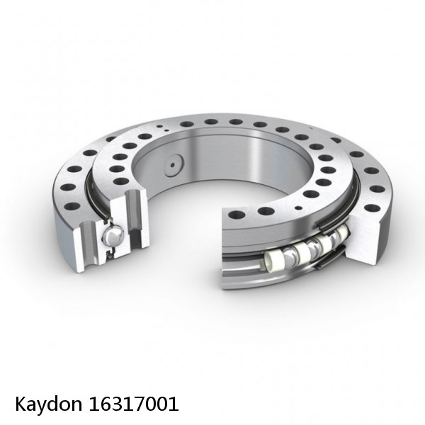 16317001 Kaydon Slewing Ring Bearings #1 image