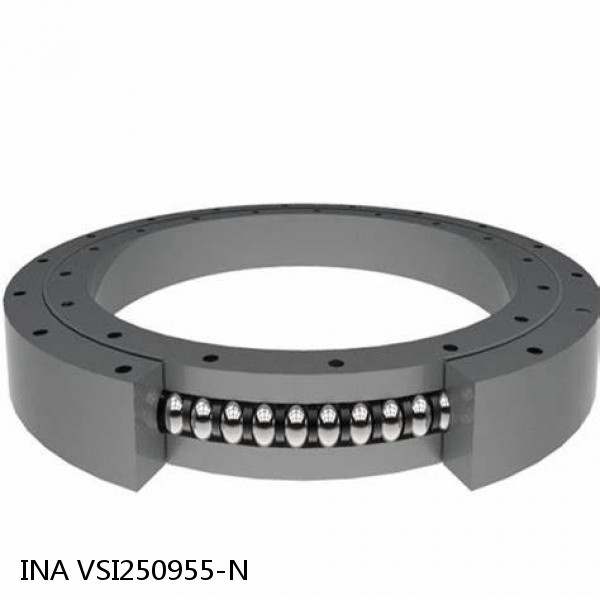 VSI250955-N INA Slewing Ring Bearings #1 image