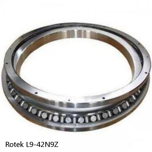 L9-42N9Z Rotek Slewing Ring Bearings #1 image