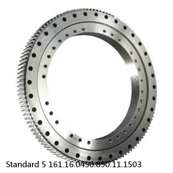 161.16.0450.890.11.1503 Standard 5 Slewing Ring Bearings #1 image