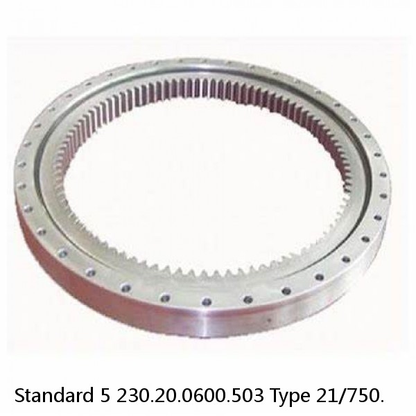 230.20.0600.503 Type 21/750. Standard 5 Slewing Ring Bearings #1 image