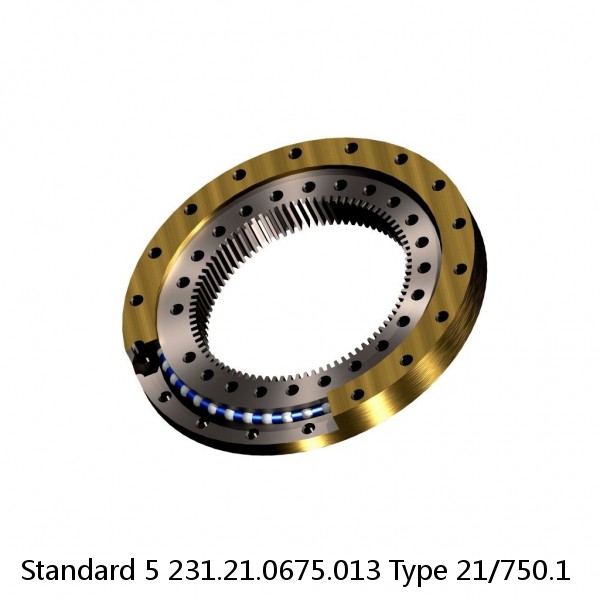 231.21.0675.013 Type 21/750.1 Standard 5 Slewing Ring Bearings #1 image