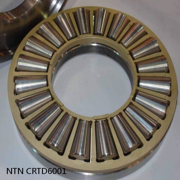 NTN CRTD6001 DOUBLE ROW TAPERED THRUST ROLLER BEARINGS #1 image